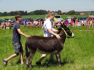 Pfingstfest Holzhausen Pfingstfest Holzhausen