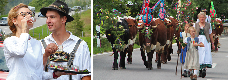 Almabtrieb Schwarzbach Wachterl 2017 Almabtrieb Schwarzbach Wachterl 2017