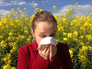 Allergie Allergie