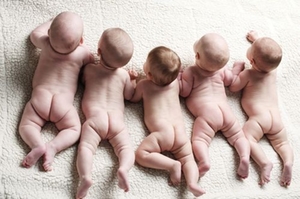 Babies Babies