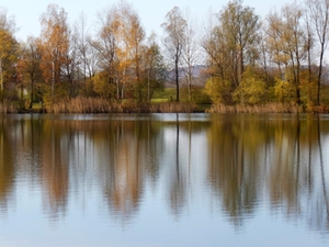 badesee.jpg