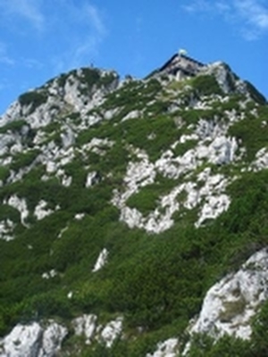 Berg