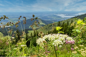 Chiemgau