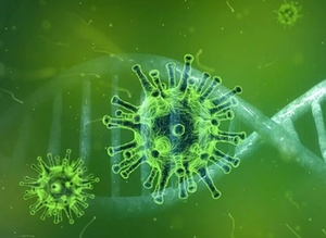 Coronavirus Coronavirus