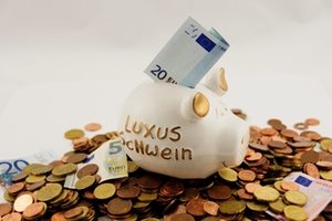 Schwein 20 Euro Geld Schwein 20 Euro Geld