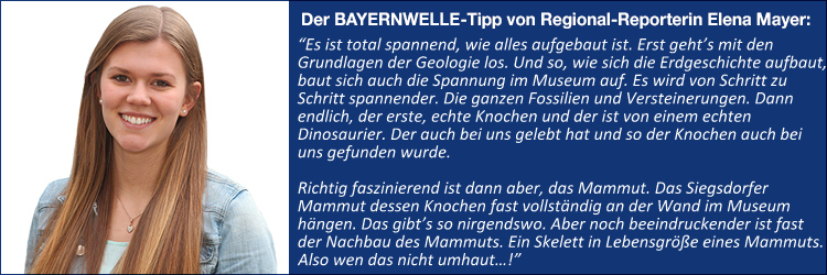 Fazit Sommerserie Mammutmuseum Fazit Sommerserie Mammutmuseum