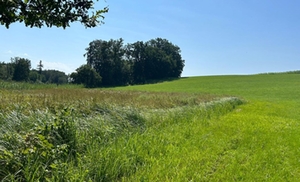 Ernte Anbau Ernte Anbau