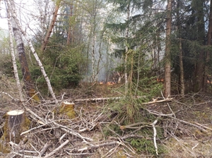Brand Schönramer Filz Brand Schönramer Filz