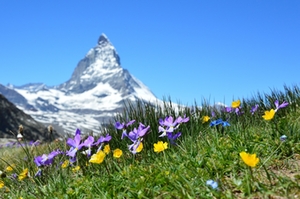 Berge Berge