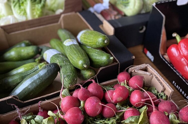 Foodsharing Gemuese