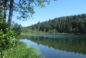 frillensee frillensee