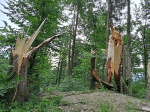 Sturmschaden