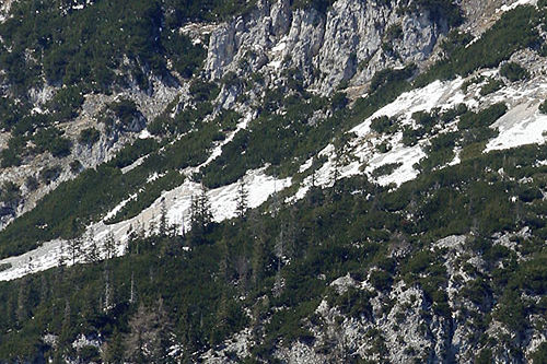 Gleitschirm 1