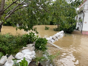 Hochwasser Waldhausen Hochwasser Waldhausen
