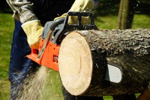 Holzfäller Holzfäller
