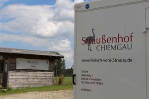 Straußenhof Chiemgau Straußenhof Chiemgau