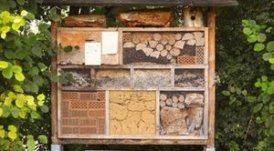 Insektenhotel Insektenhotel