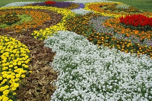 Landesgartenschau_Symbolbild Landesgartenschau_Symbolbild