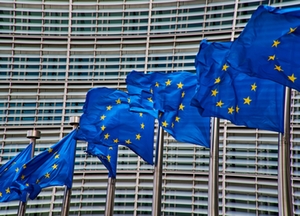 Europawahl 2019 - Titelbild Mein Europa Europawahl 2019 - Titelbild Mein Europa