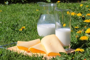 Milchprodukte Milchprodukte