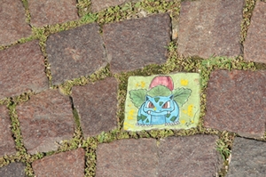 Pokemon Pokemon