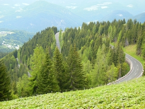 Roßfeld Roßfeld