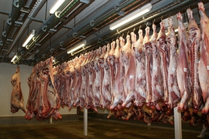 Schlachthof-Schweine Schlachthof-Schweine