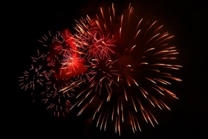 Silvester Silvester