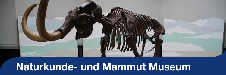 Sommerserie - Naturkunde- und Mammut-Museum Siegsdorf Sommerserie - Naturkunde- und Mammut-Museum Siegsdorf