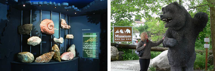 Sommerserie - Naturkunde- und Mammut-Museum Siegsdorf Sommerserie - Naturkunde- und Mammut-Museum Siegsdorf