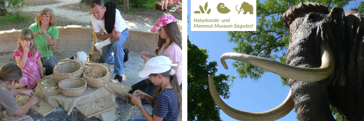 Sommerserie - Naturkunde- und Mammut-Museum Siegsdorf Sommerserie - Naturkunde- und Mammut-Museum Siegsdorf