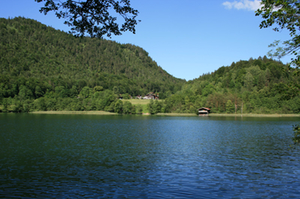 thumsee thumsee