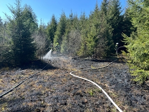 Waldbrandgefahr