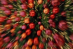 weihnachtsfeier-highres weihnachtsfeier-highres
